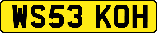 WS53KOH