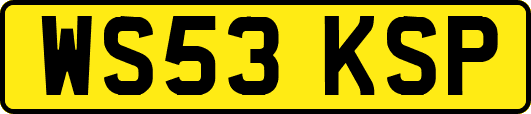 WS53KSP