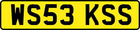 WS53KSS