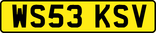 WS53KSV