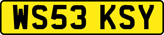 WS53KSY