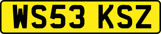 WS53KSZ
