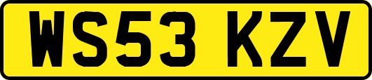 WS53KZV