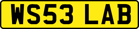 WS53LAB