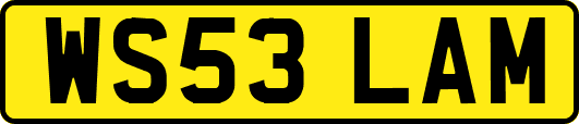 WS53LAM