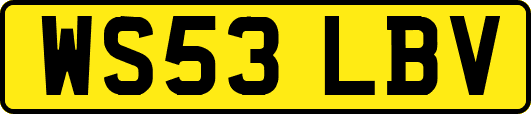 WS53LBV
