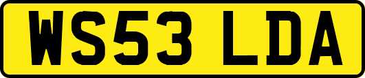 WS53LDA