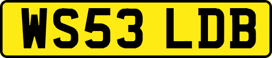 WS53LDB