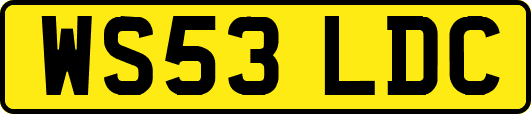 WS53LDC