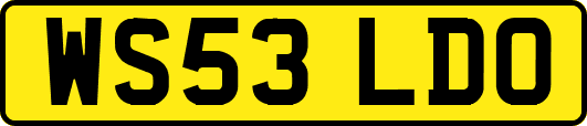 WS53LDO