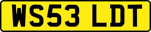 WS53LDT