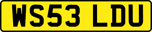WS53LDU
