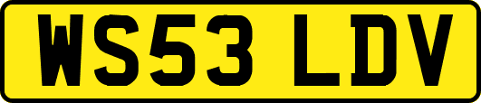 WS53LDV
