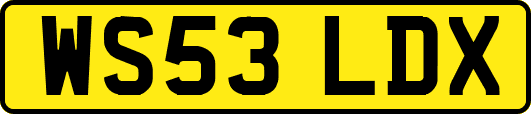 WS53LDX