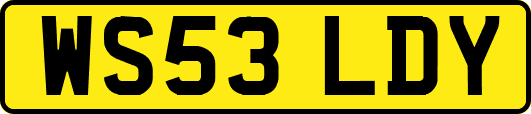 WS53LDY