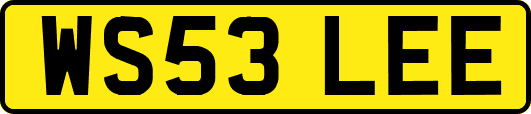 WS53LEE