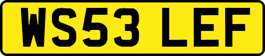 WS53LEF