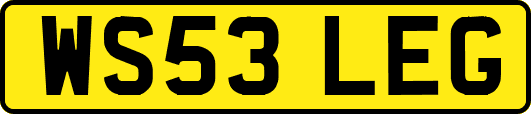 WS53LEG