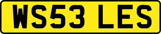 WS53LES