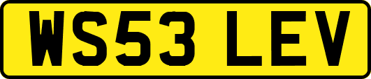 WS53LEV