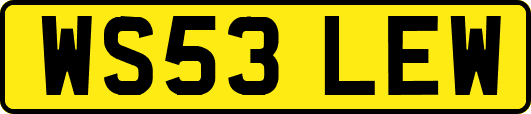 WS53LEW