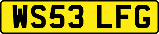 WS53LFG