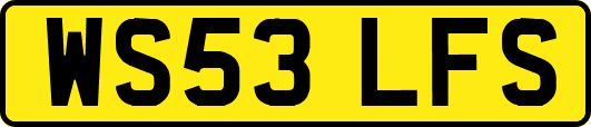 WS53LFS