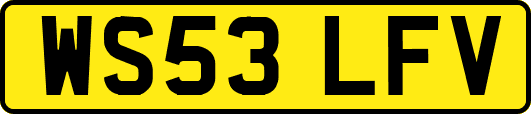 WS53LFV