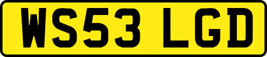 WS53LGD