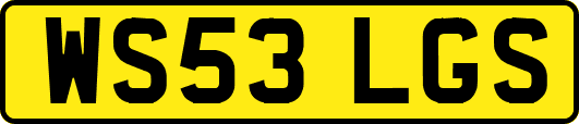 WS53LGS