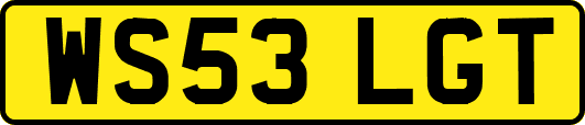 WS53LGT