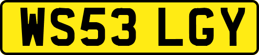 WS53LGY