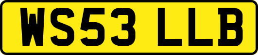 WS53LLB