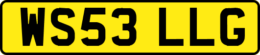 WS53LLG