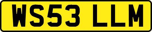 WS53LLM