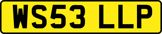 WS53LLP