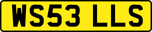 WS53LLS