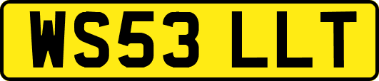 WS53LLT