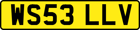 WS53LLV