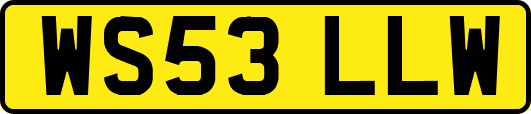 WS53LLW