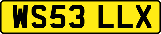 WS53LLX