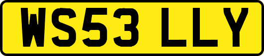 WS53LLY