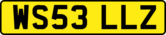 WS53LLZ