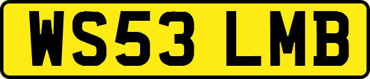 WS53LMB
