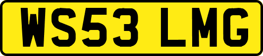 WS53LMG