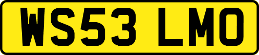 WS53LMO