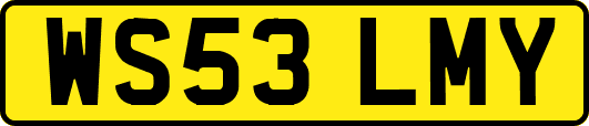 WS53LMY