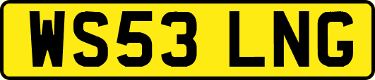 WS53LNG
