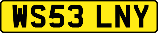 WS53LNY