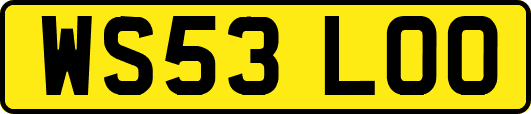 WS53LOO